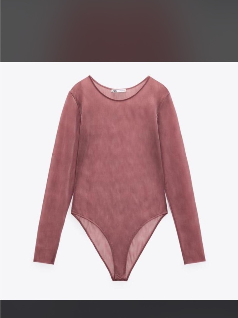 Zara Sheer Long Sleeve Bodysuit